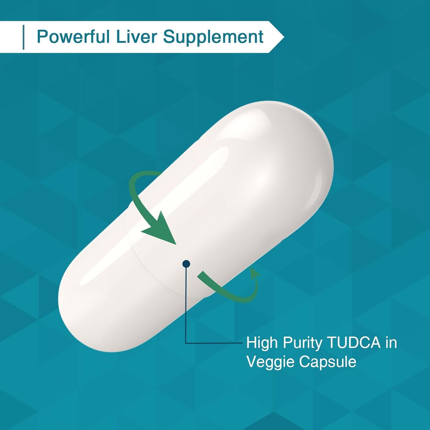 1200mg Zingicin TUDCA Supplement - 600 Veggie Capsules for Liver Health & Digestion