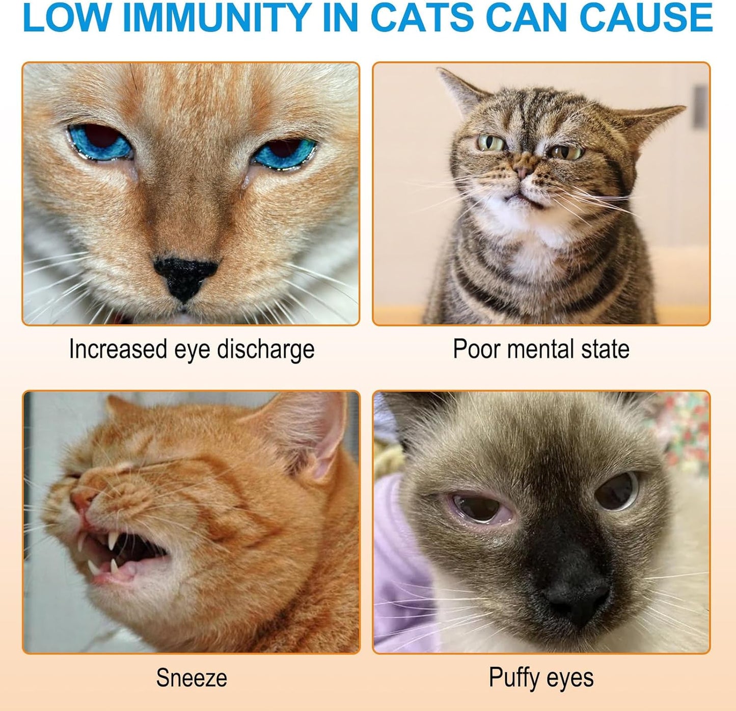 120g ALIVO L-Lysine Powder for Cats - Supports Immune System, Respiratory Health, and Visual Function - Salmon Flavor - 4.23oz