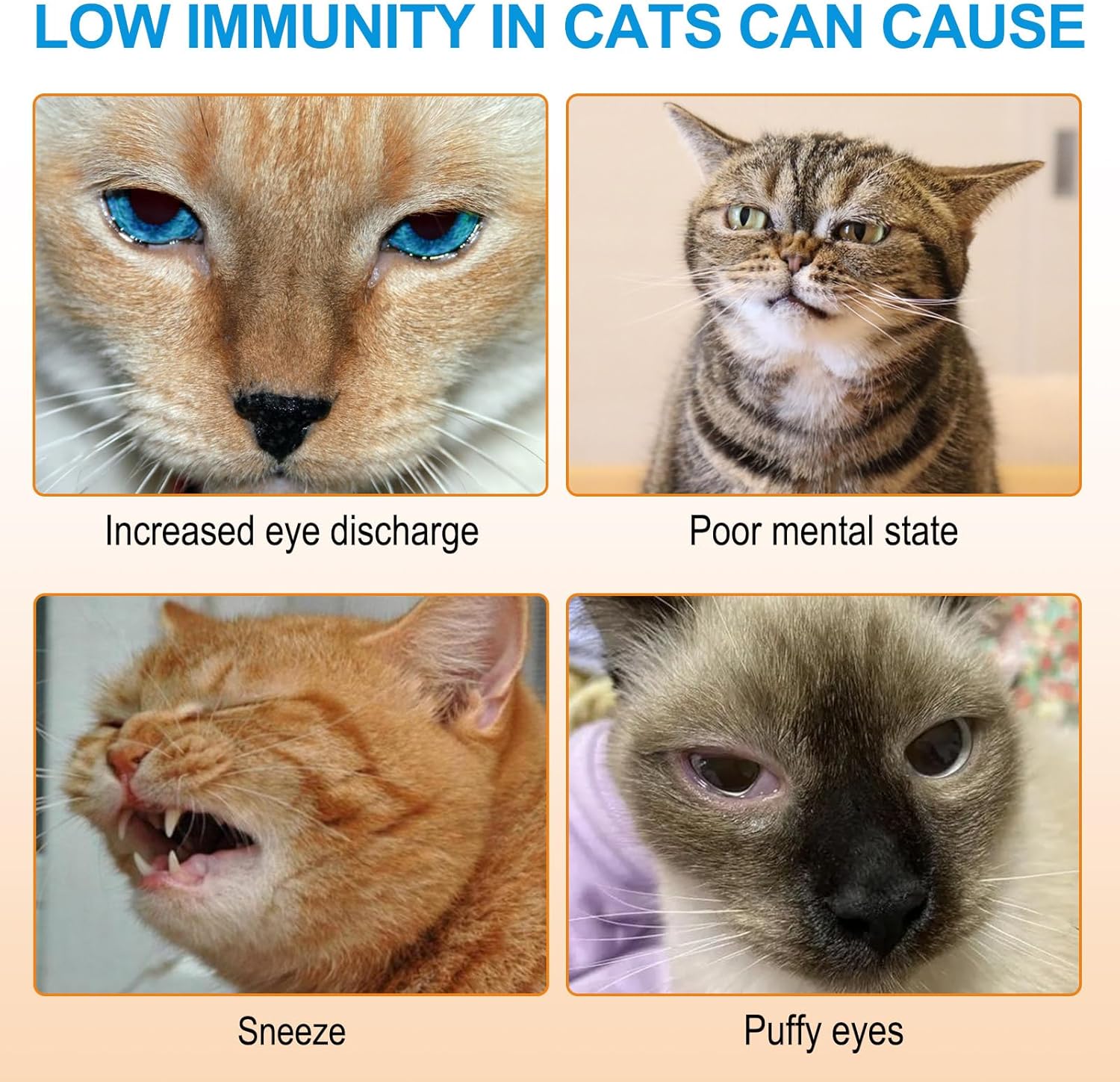 120g ALIVO L-Lysine Powder for Cats - Supports Immune System, Respiratory Health, and Visual Function - Salmon Flavor - 4.23oz