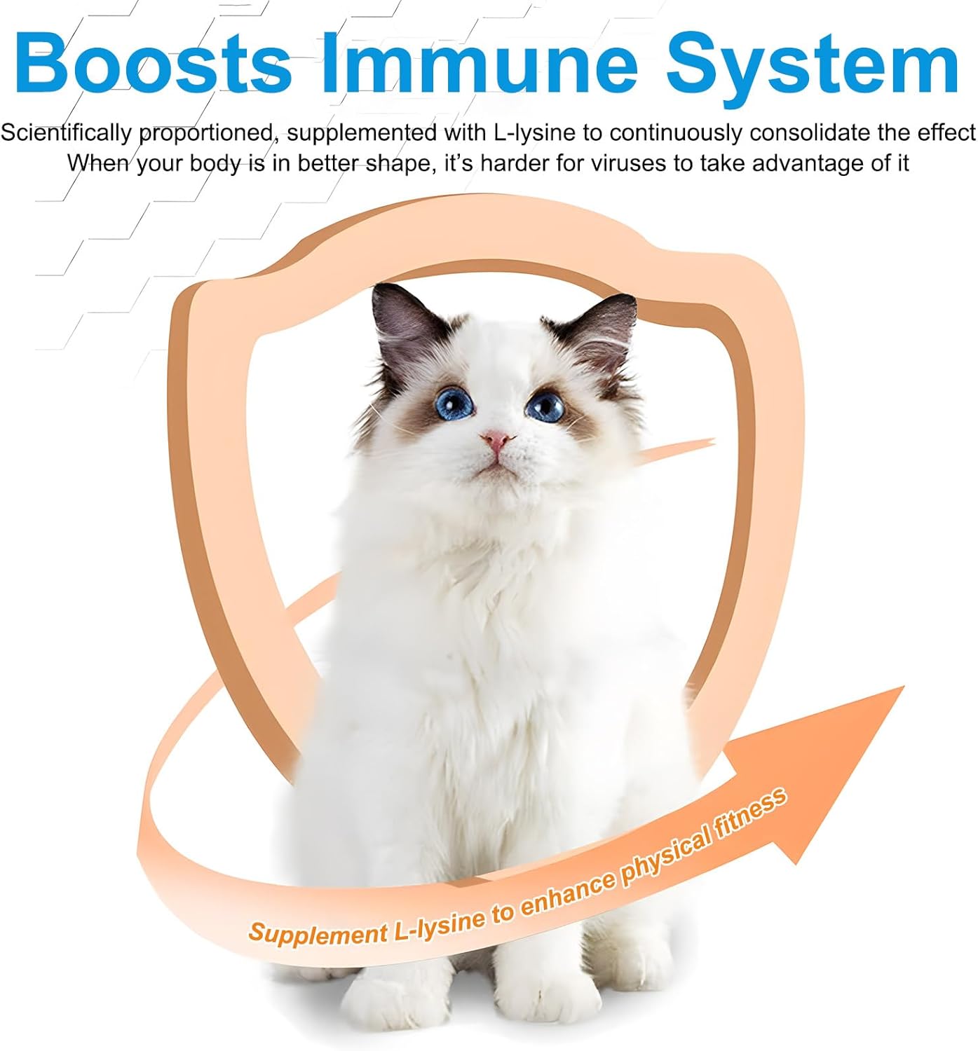 120g ALIVO L-Lysine Powder for Cats - Supports Immune System, Respiratory Health, and Visual Function - Salmon Flavor - 4.23oz