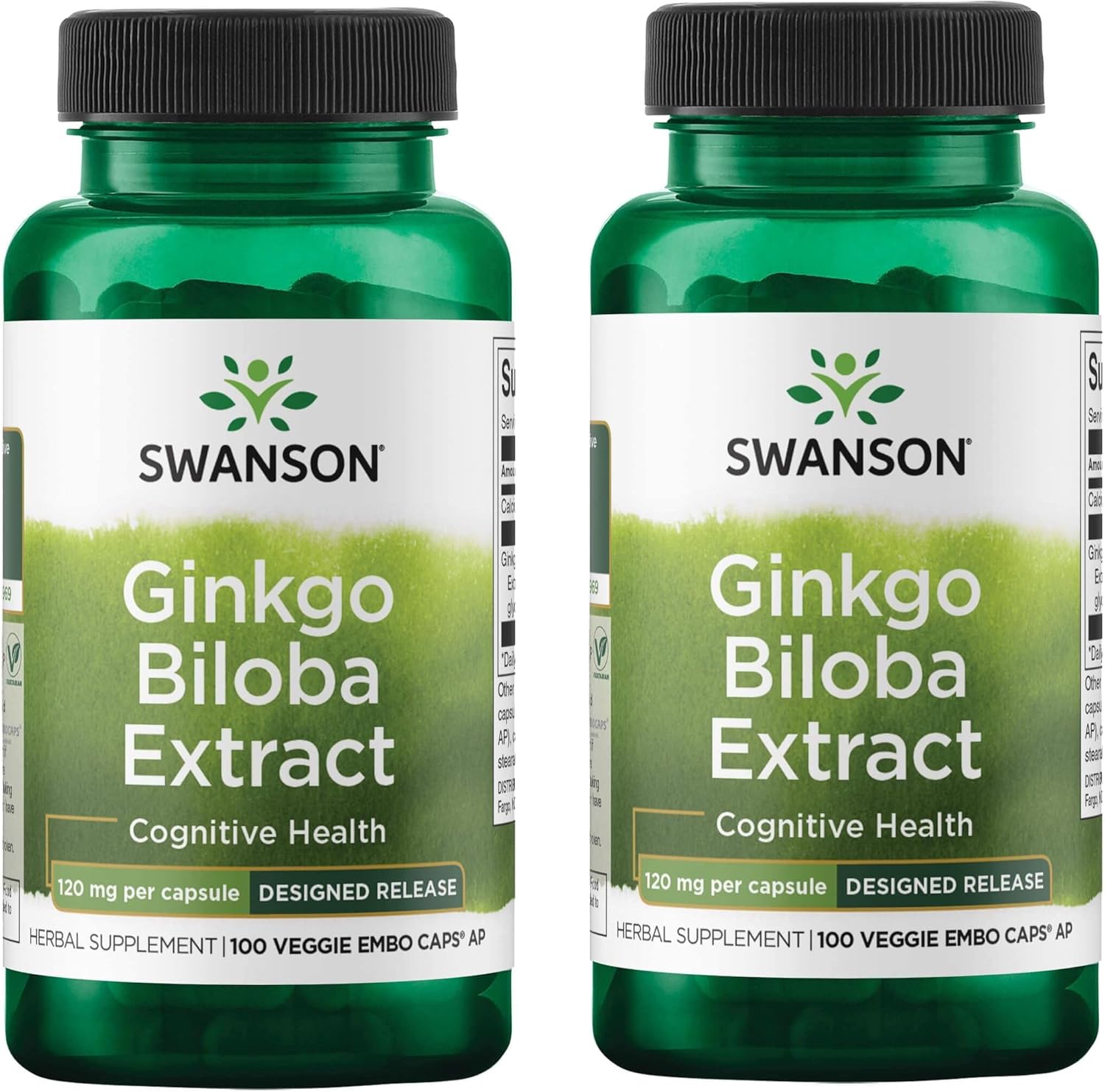 120mg Ginkgo Biloba Extract Capsules for Memory & Cognitive Function - 100 Delayed-Release Veggie Capsules (2 Pack)