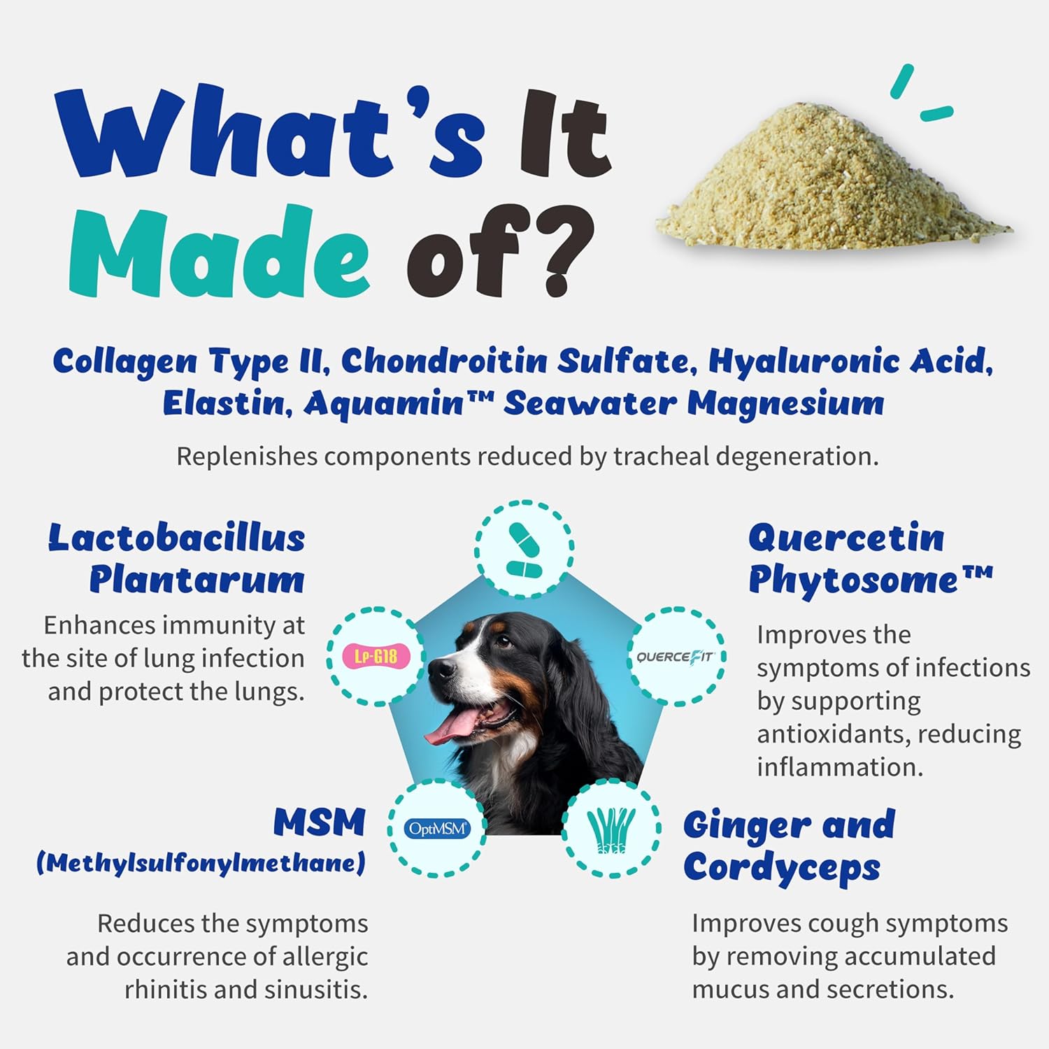 135g Branvine Respiratory Guardian for Dogs with Quercefit®, Vegan Bacon Flavor - Promotes Lung Health, Supports Nasal, Bronchial, and Tracheal Health, Respiratory Probiotics for Pets