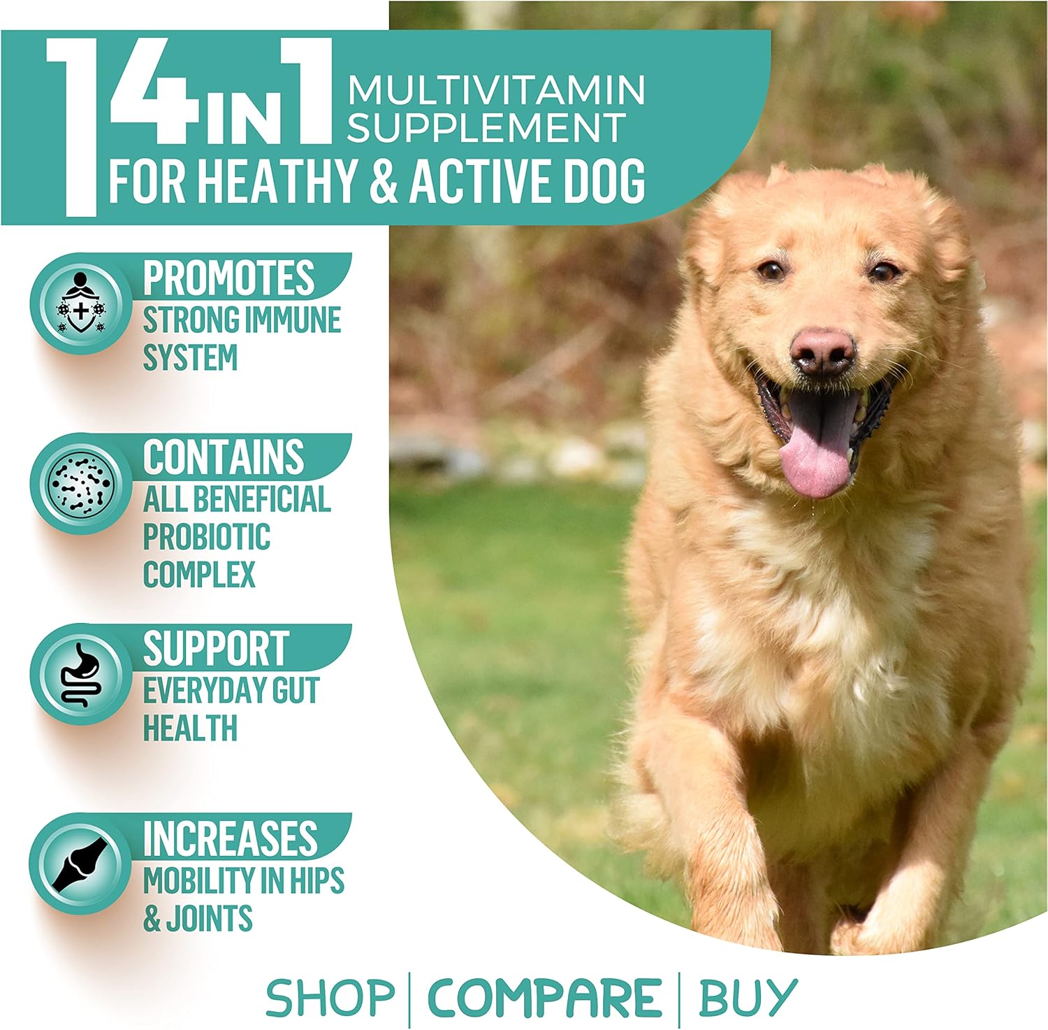 14-in-1 Dog Multivitamin Soft Chews with Glucosamine, Probiotics, and Omega-3s for Hip & Joint Support, Skin & Coat Health, and Immune System Boost | 90 Count