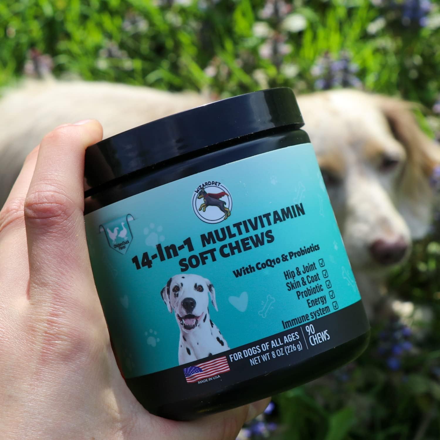 14-in-1 Dog Multivitamin Soft Chews with Glucosamine, Probiotics, and Omega-3s for Hip & Joint Support, Skin & Coat Health, and Immune System Boost | 90 Count