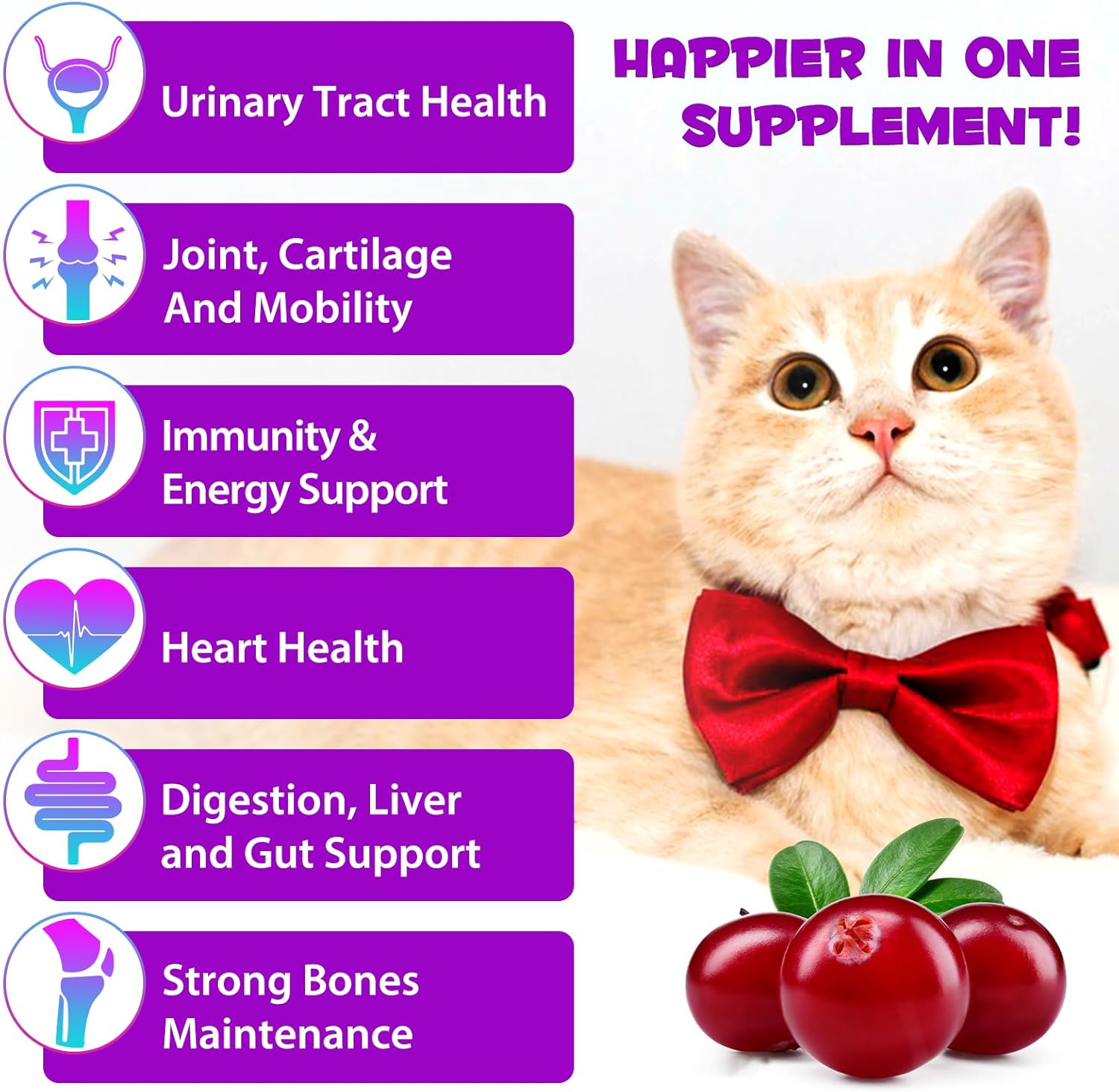 15-in-1 Cat Multivitamin Liquid Drops 60ml for Heart, Bones, Joints, Skin, Coat, Bladder & Immune System