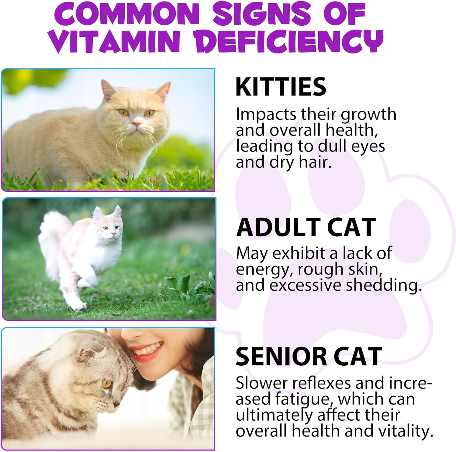 15-in-1 Cat Multivitamin Liquid Drops 60ml for Heart, Bones, Joints, Skin, Coat, Bladder & Immune System