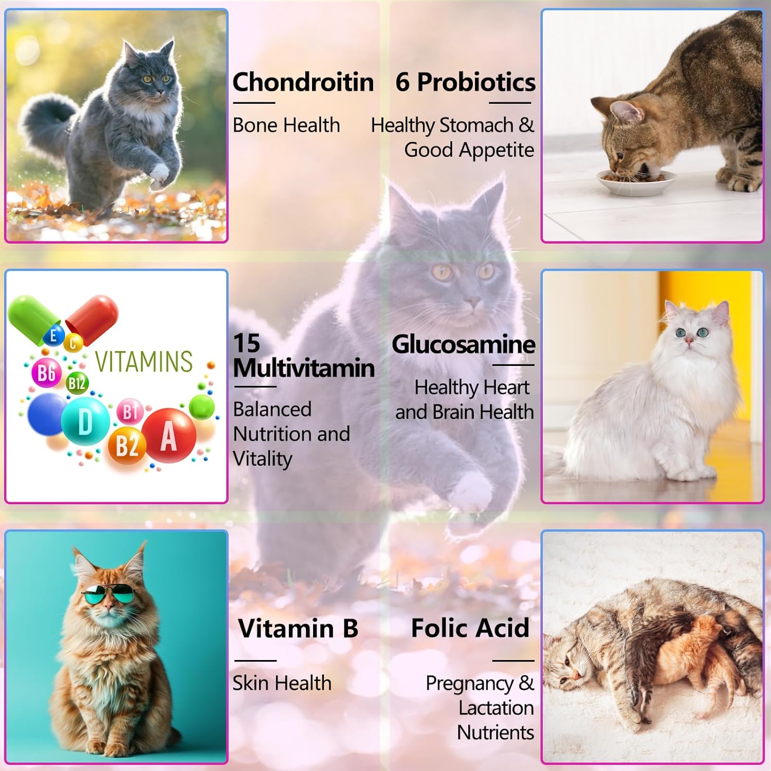 15-in-1 Cat Multivitamin Liquid Drops 60ml for Heart, Bones, Joints, Skin, Coat, Bladder & Immune System
