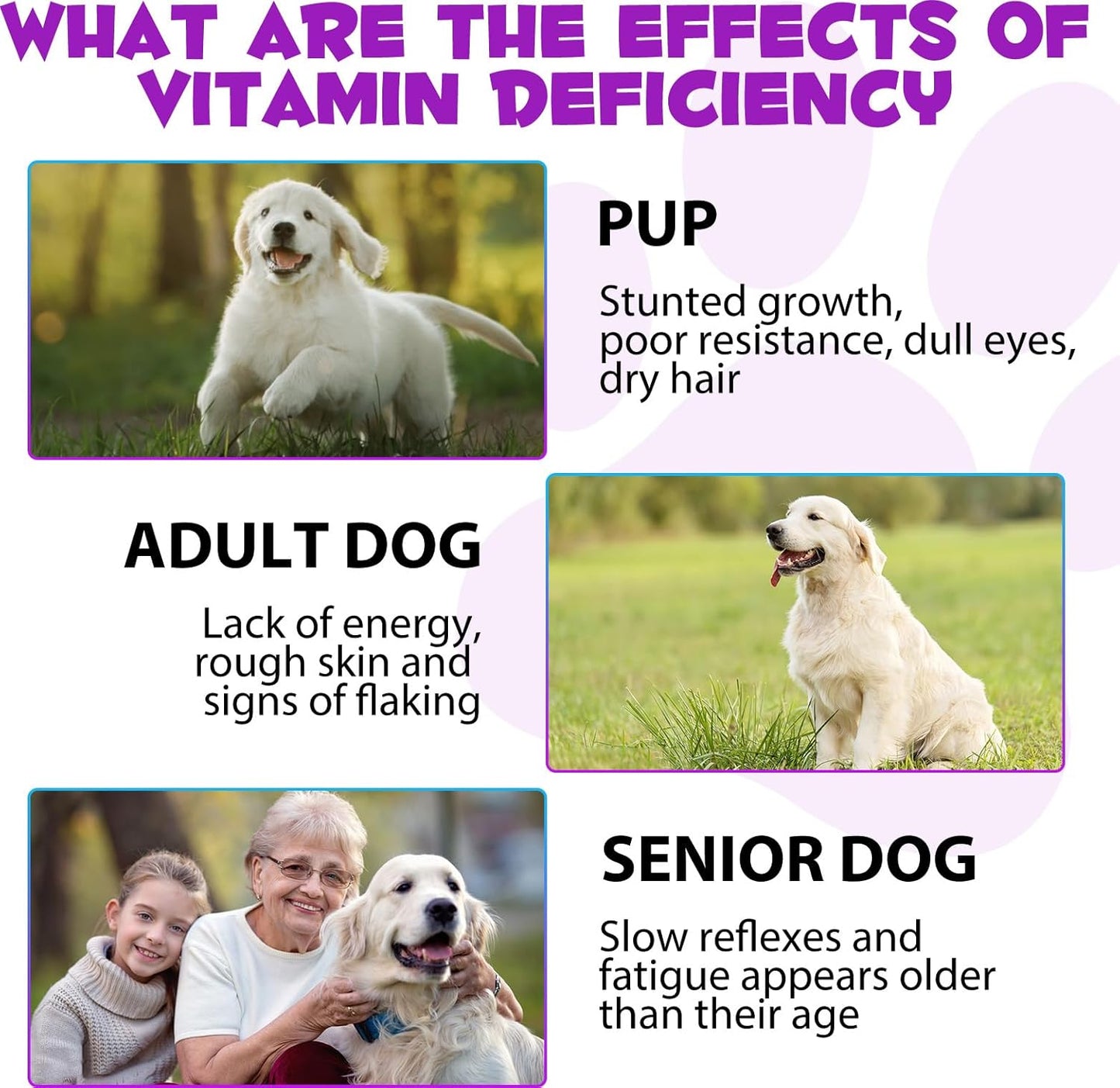 15-in-1 Dog Multivitamin Drops with Glucosamine, MSM, and Minerals for Skin, Coat, Heart, Bones, Joints, and Immune Support - Natural Dog Vitamins & Supplements