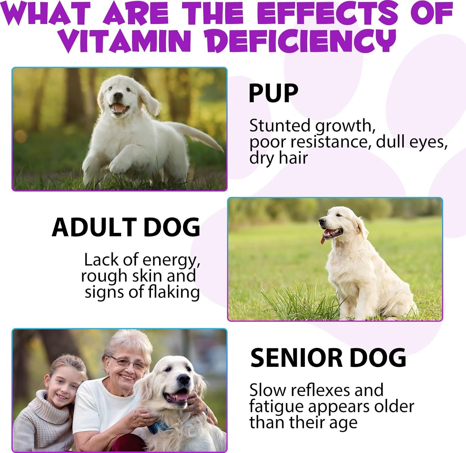 15-in-1 Dog Multivitamin Drops with Glucosamine, MSM, and Minerals for Skin, Coat, Heart, Bones, Joints, and Immune Support - Natural Dog Vitamins & Supplements