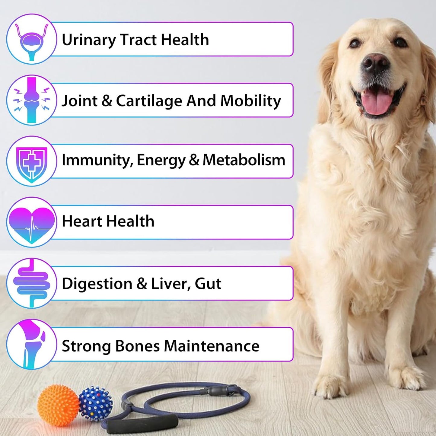 15-in-1 Dog Multivitamin Drops with Glucosamine, MSM, and Minerals for Skin, Coat, Heart, Bones, Joints, and Immune Support - Natural Dog Vitamins & Supplements