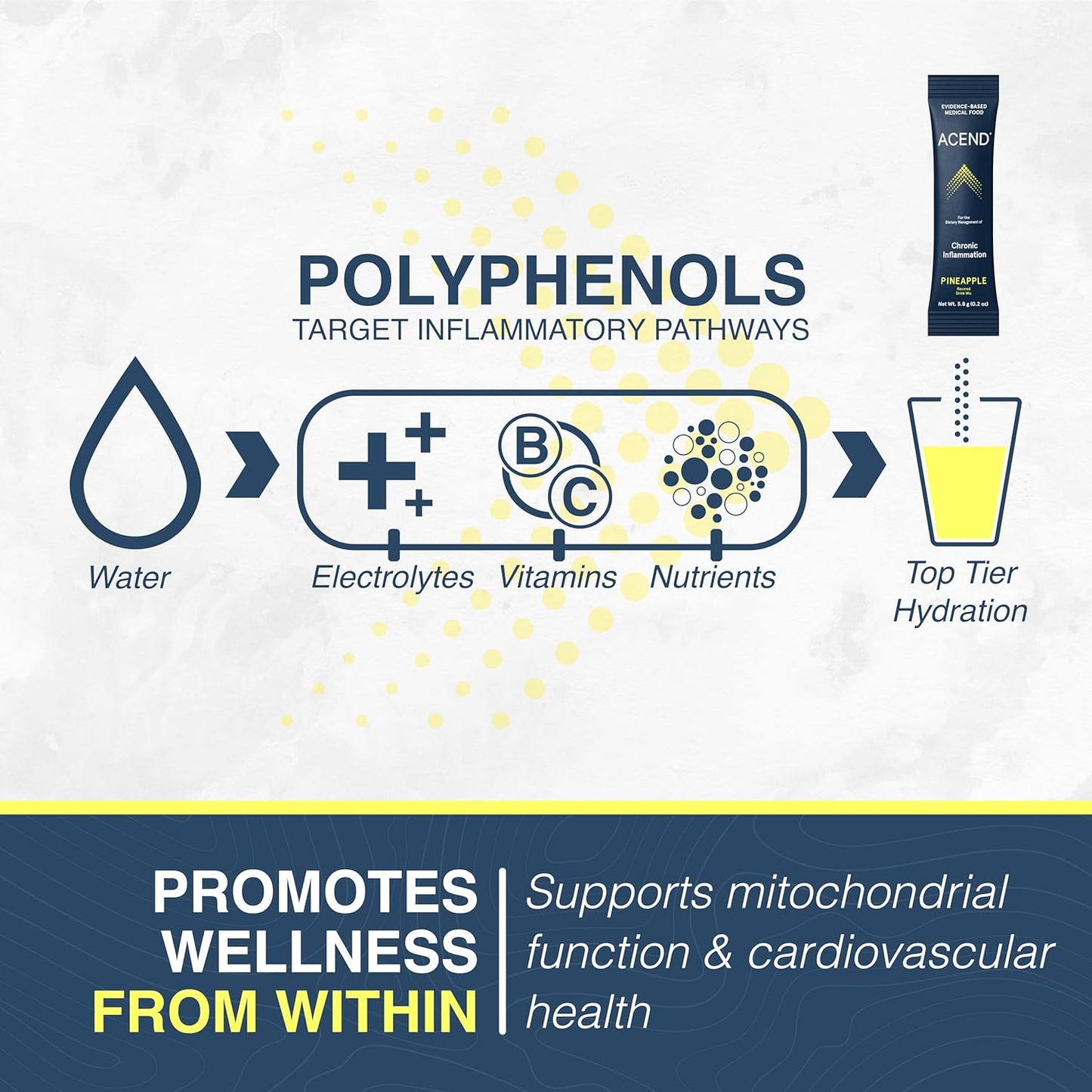 15 Packets of ACEND Pineapple Flavor Medical Food Drink Mix - Inflammation Support Supplement with Probiotics, Electrolytes, Non-GMO Formula, Gluten-Free & Sugar-Free