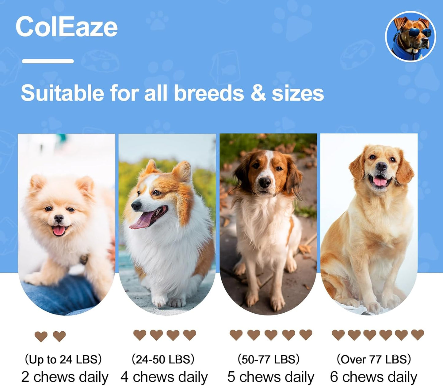 150 Count ColEaze Probiotic Soft Chews for Dogs with Prebiotics, Enzymes, and Lamb Flavor - Promotes Gut Health