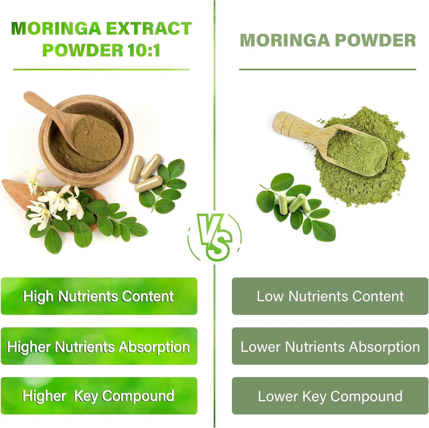150 FitVitality Moringa Capsules - 10,000mg Pure Leaf Extract Powder - Non-GMO Gluten Free Superfood Supplement