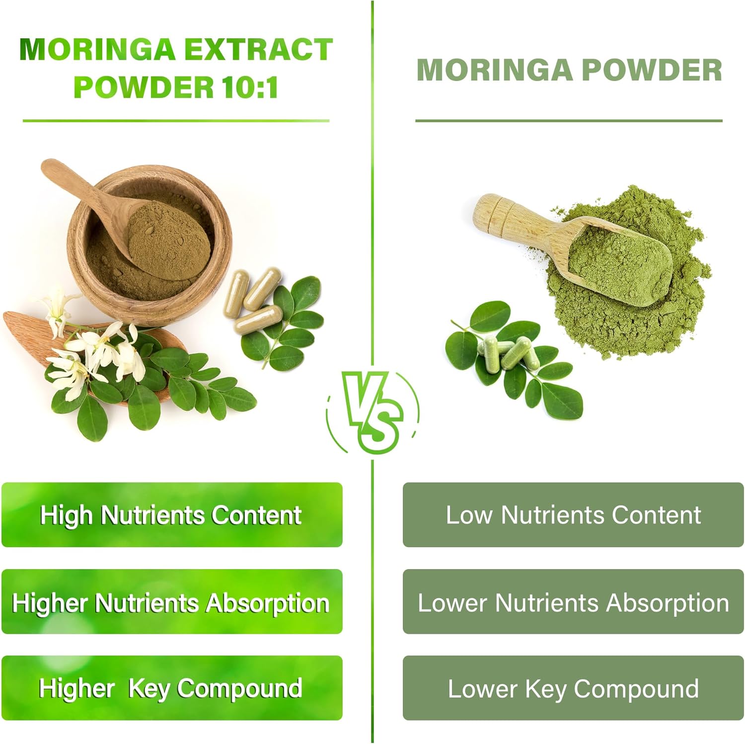 150 FitVitality Moringa Capsules - 10,000mg Pure Leaf Extract Powder - Non-GMO Gluten Free Superfood Supplement