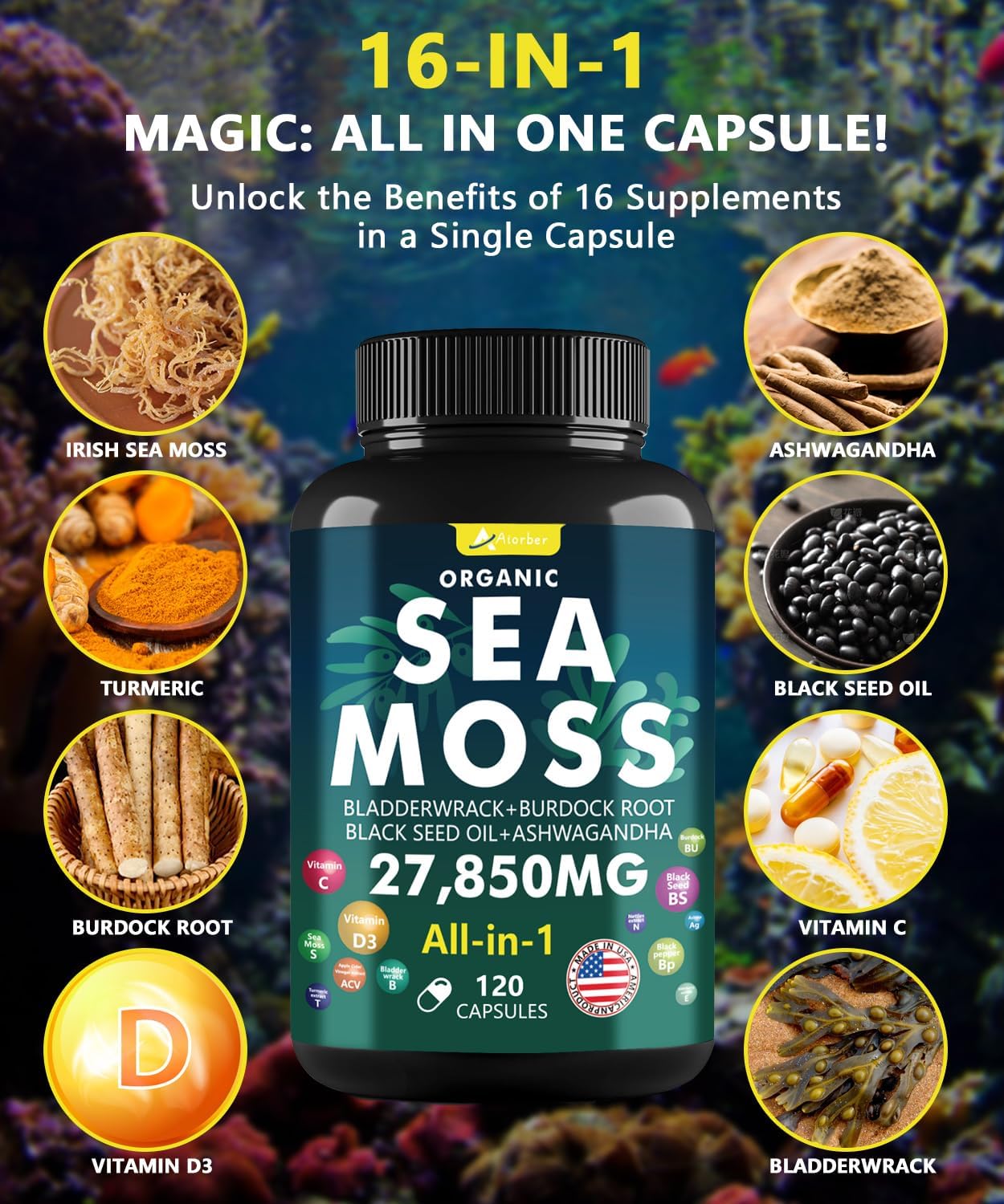 150 Organic Sea Moss, Ashwagandha & Black Seed Oil Capsules - Natural Multivitamin Supplement