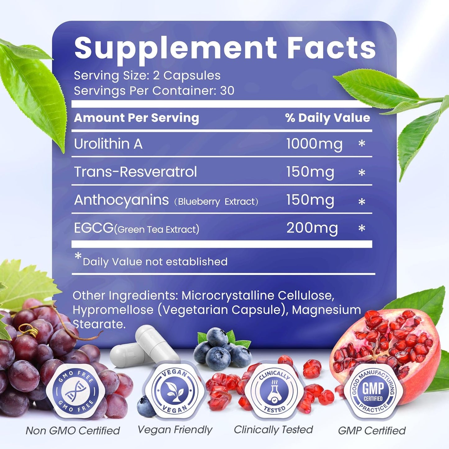 1500mg ELERULE Urolithin A Supplement with Trans-Resveratrol, Anthocyanins, Green Tea - Supports Healthy Aging, Cellular Vitality, Energy - 60 Capsules for Men & Women