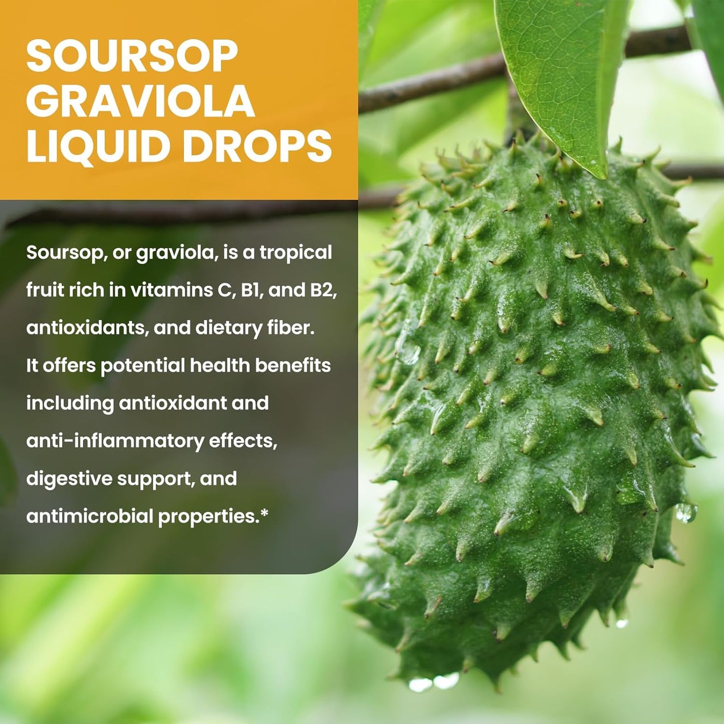 1500mg Soursop Graviola Liquid Drops with Green Tea, Black Seed Oil, Turmeric - Antioxidant & Immune Support - Natural Pineapple Flavor - 2 Fl Oz