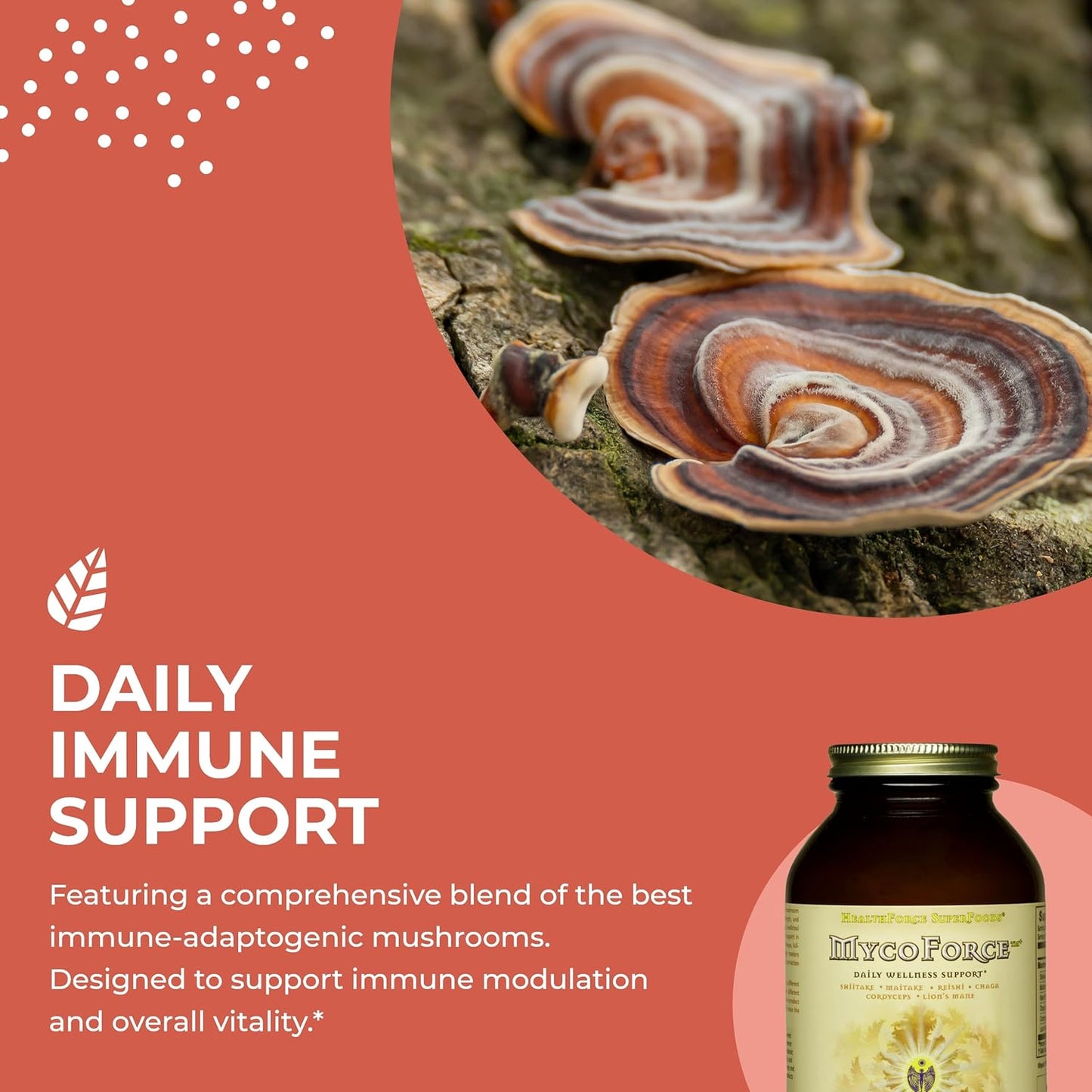 150g HealthForce SuperFoods MycoForce Powder - Immune Support Supplement