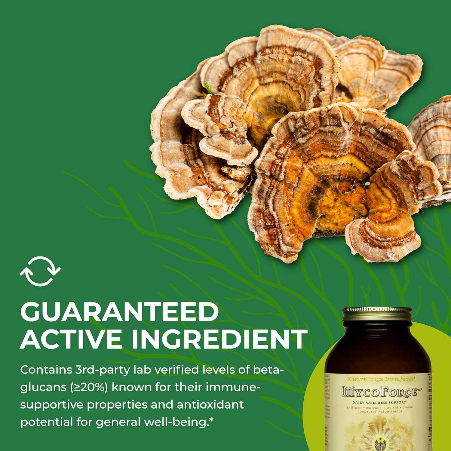 150g HealthForce SuperFoods MycoForce Powder - Immune Support Supplement