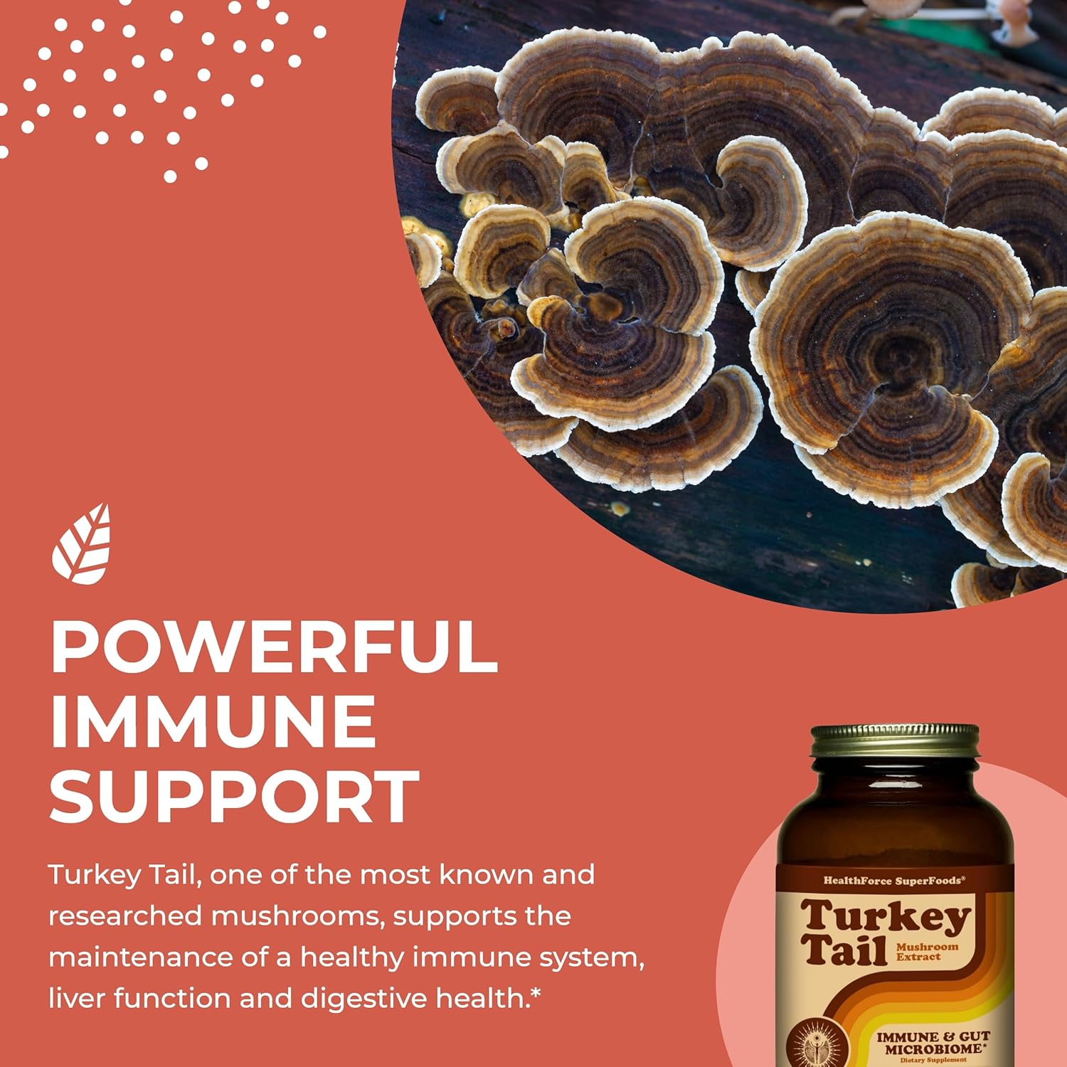 150g HealthForce SuperFoods Turkey Tail Mushroom Powder - Immune Support Supplement