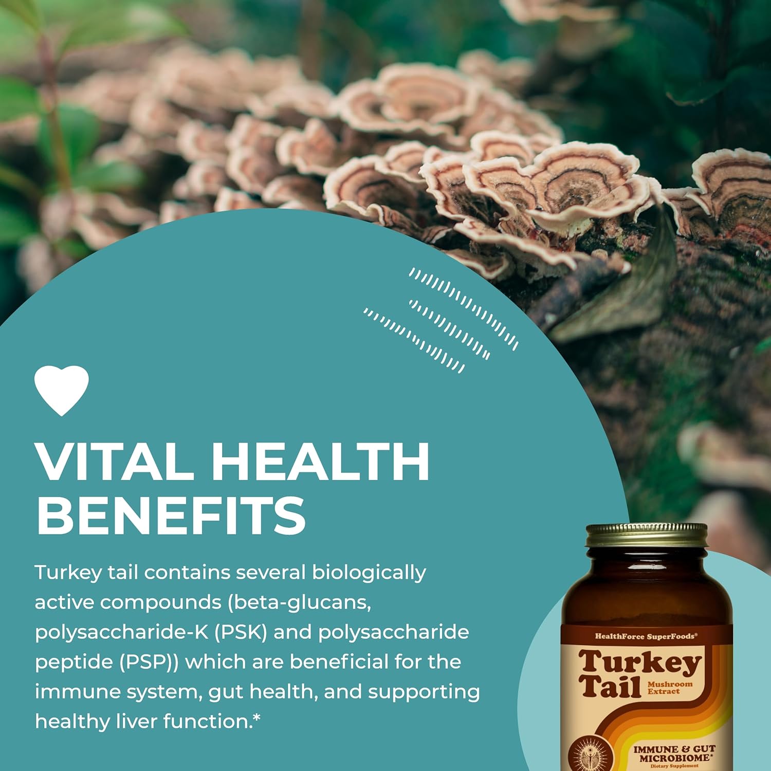 150g HealthForce SuperFoods Turkey Tail Mushroom Powder - Immune Support Supplement
