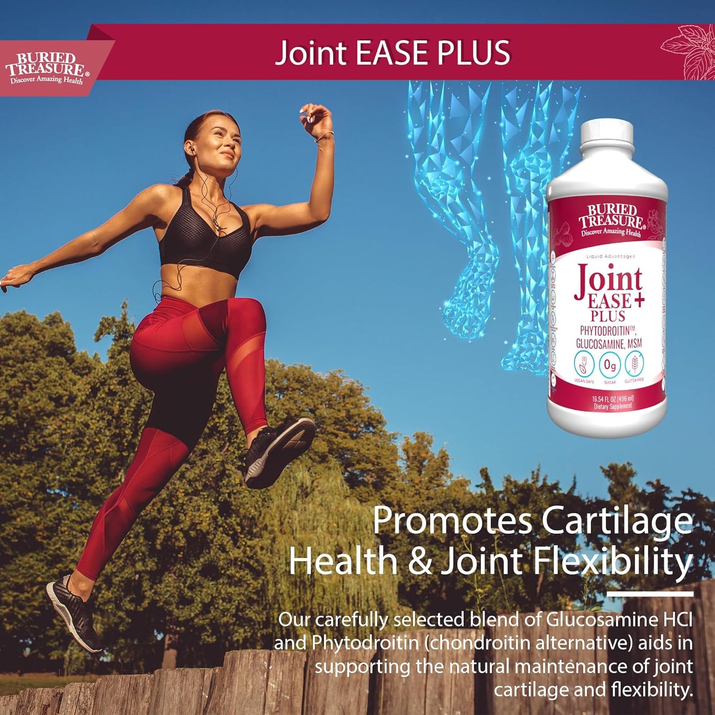 16 fl oz Buried Treasure Joint Ease Plus - Glucosamine Chondroitin, MSM, Turmeric Joint Support Supplement