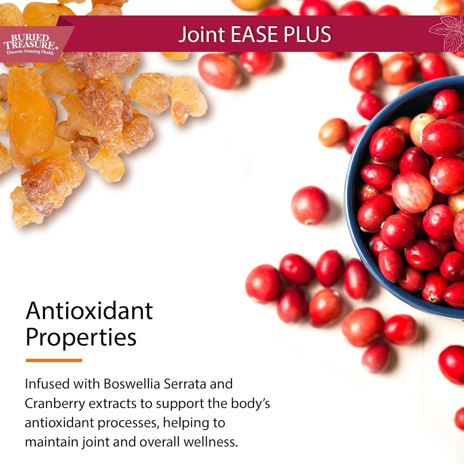 16 fl oz Buried Treasure Joint Ease Plus - Glucosamine Chondroitin, MSM, Turmeric Joint Support Supplement