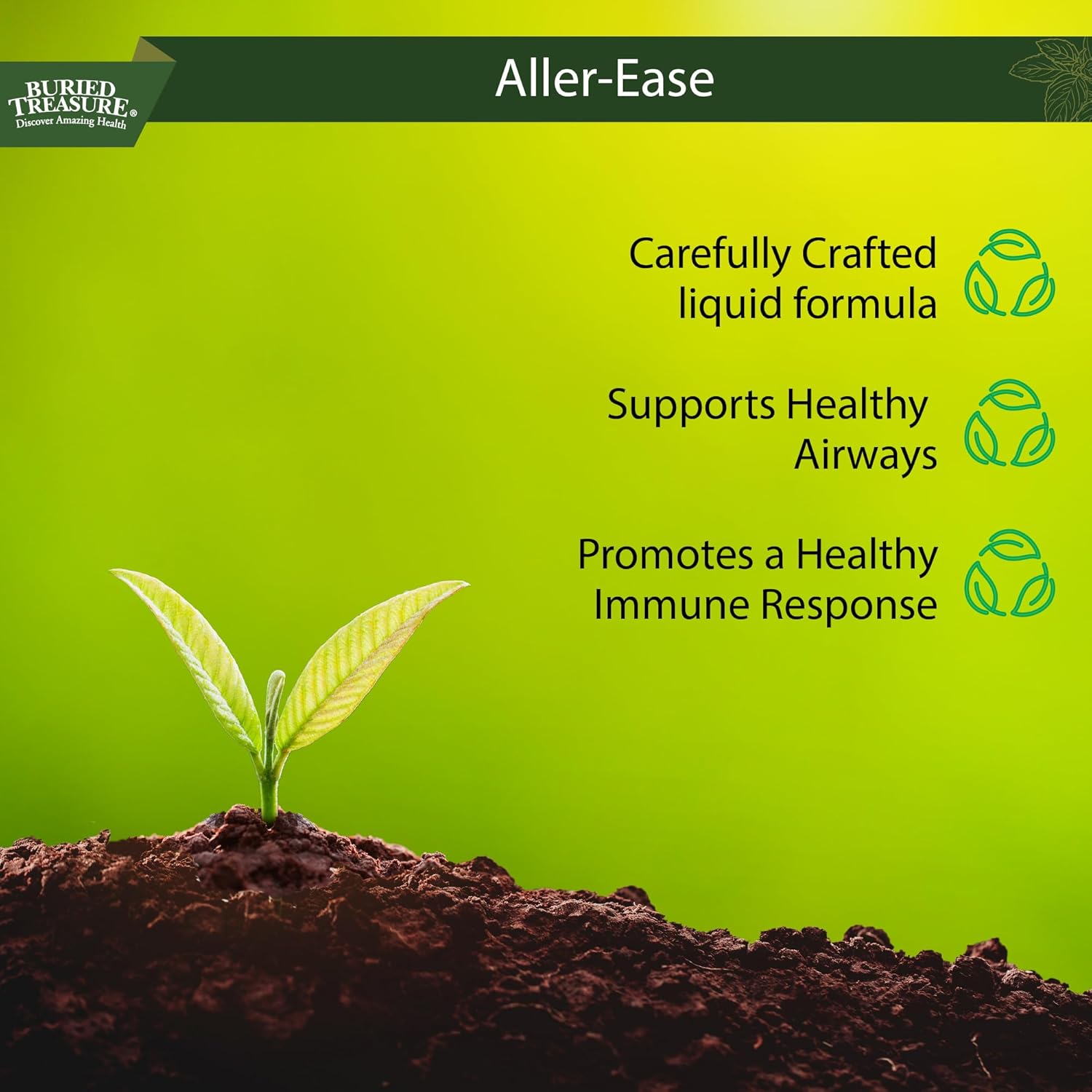 16 fl oz Liquid Supplement with Quercetin, Bromelain, and Mullein for Immune and Sinus Support - Non-Drowsy Herbal Formula