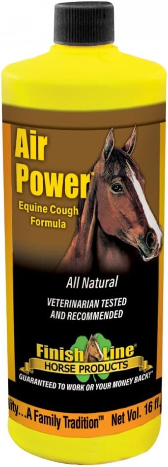 16 oz Finish Line Air Power Spray for Cleaning and Lubricating - Premium Cleaner for Bikes and Components
