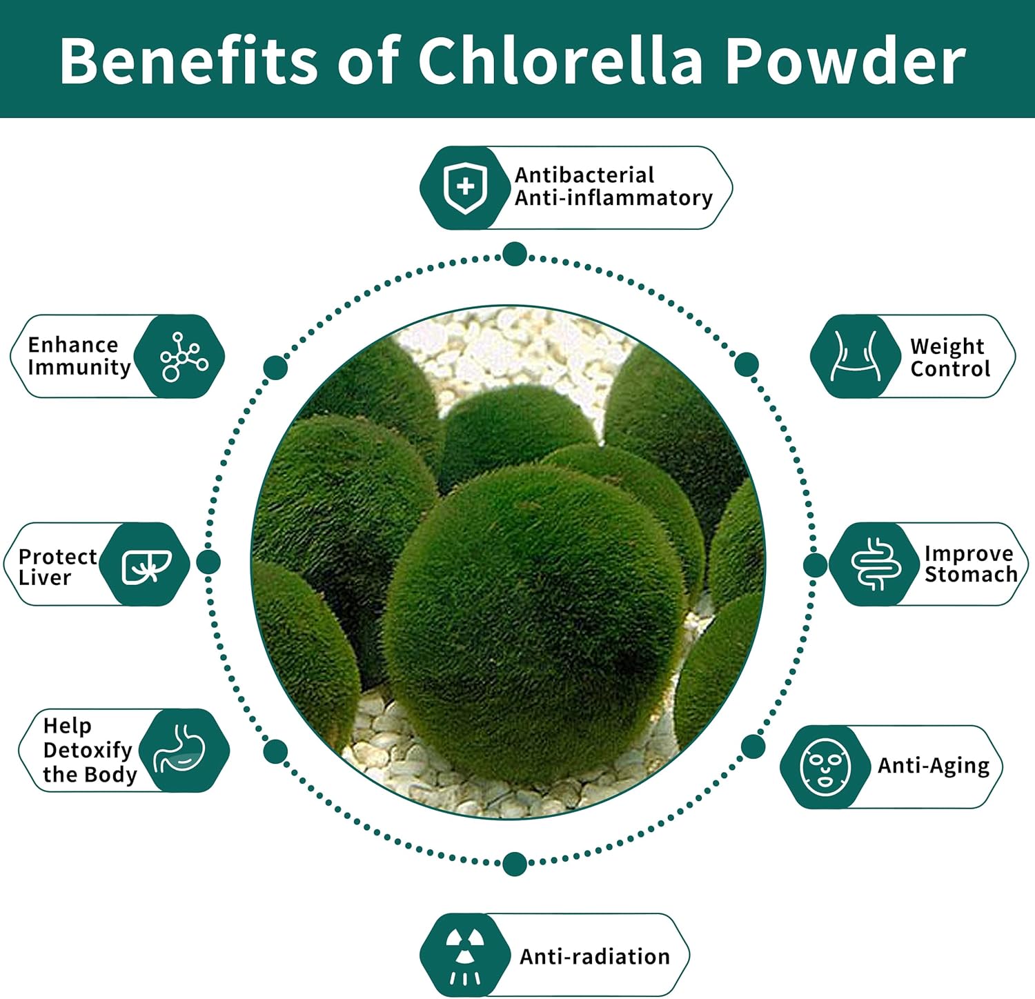 16 oz Hudetex Chlorella Powder: Natural Chlorophyll for Immune System, Liver Health, Youth, Vegan Protein & Vitamins