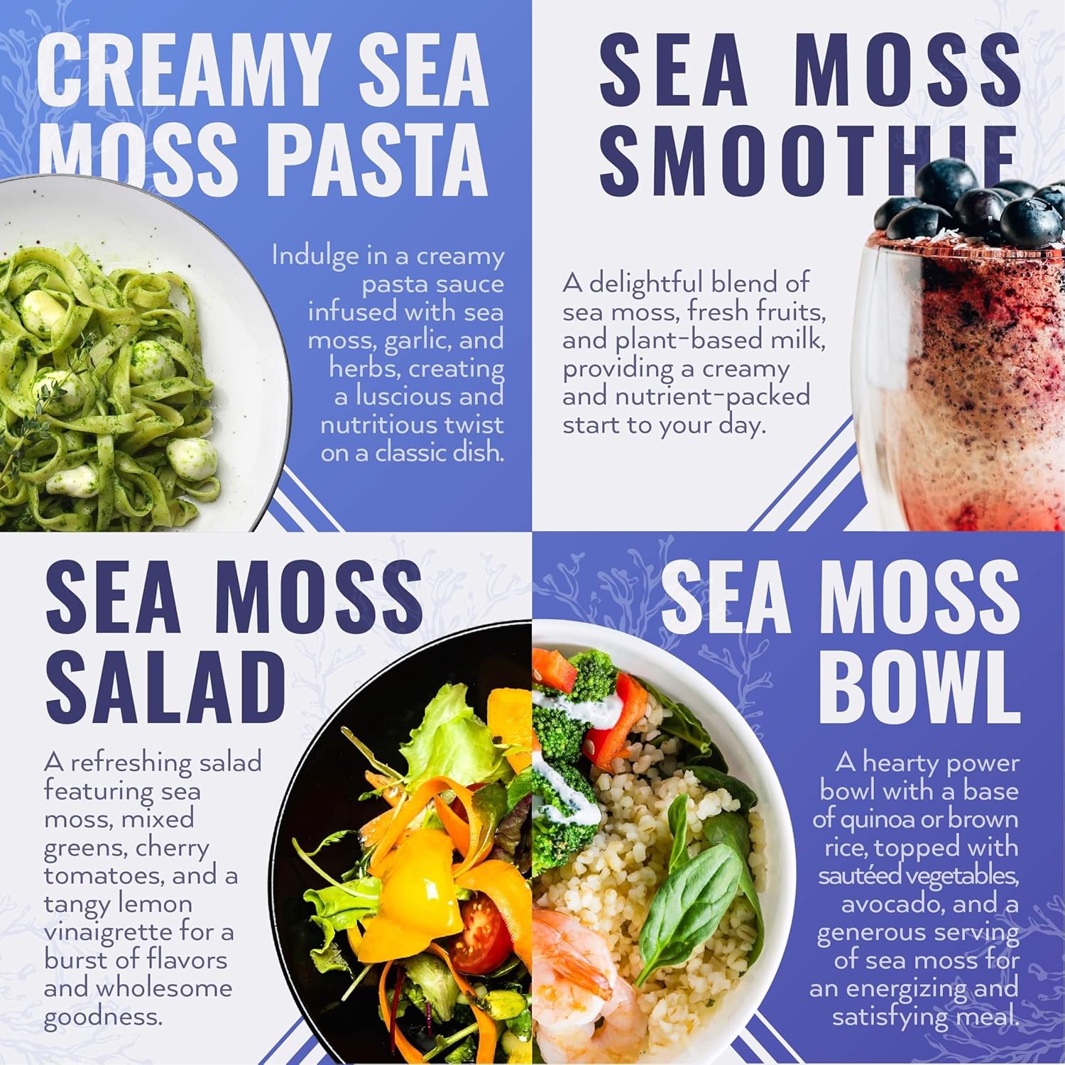 16oz Biolore Sea Moss Gel with Mango & Elderberry: Raw Wildcrafted Irish Seamoss, Essential Vitamins & Minerals, Antioxidant-Rich Vegan Superfood for Immune Support - Made in USA