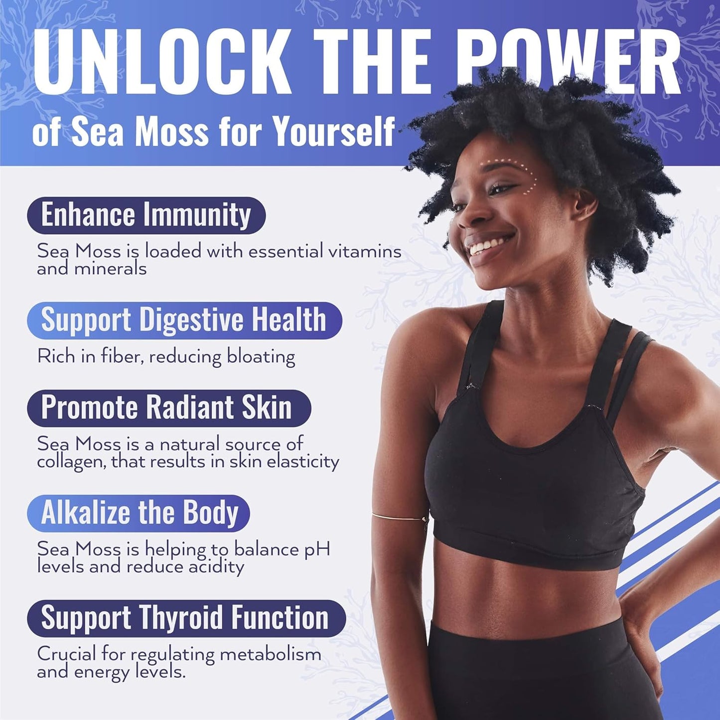 16oz Biolore Sea Moss Gel with Mango & Elderberry: Raw Wildcrafted Irish Seamoss, Essential Vitamins & Minerals, Antioxidant-Rich Vegan Superfood for Immune Support - Made in USA