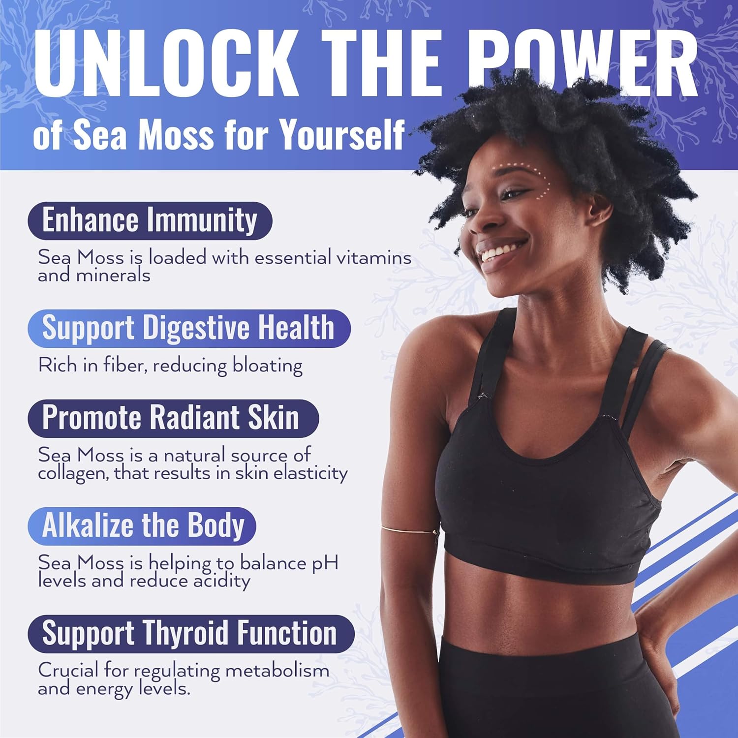 16oz Biolore Sea Moss Gel with Mango & Elderberry: Raw Wildcrafted Irish Seamoss, Essential Vitamins & Minerals, Antioxidant-Rich Vegan Superfood for Immune Support - Made in USA