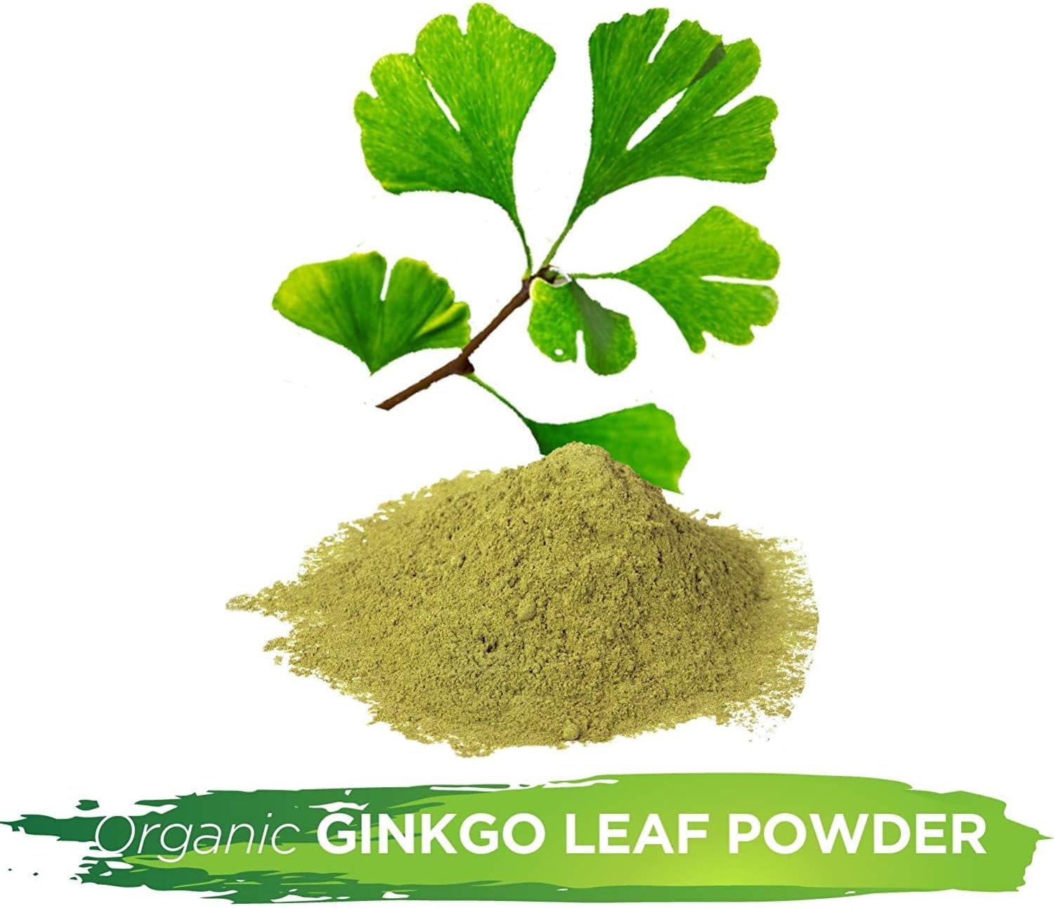 16oz Ginkgo Biloba Leaf Powder - Wildcrafted Herbal Tea Supplement from The Bloomin Herb Shoppe - Pure and Natural
