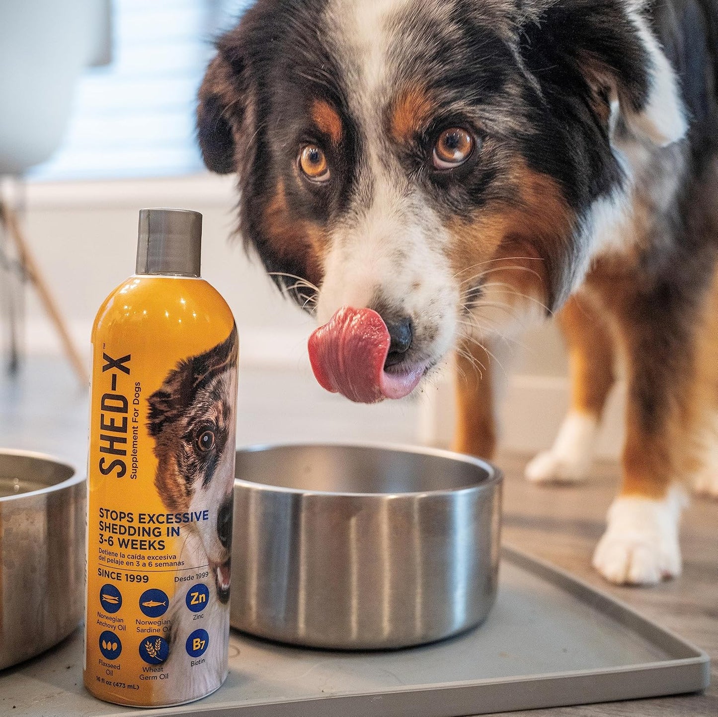 16oz SynergyLabs Shed-X Liquid Dog Supplement - Natural Fish Oil for Dogs - Reduces Excessive Shedding - Essential Fatty Acids, Vitamins & Minerals