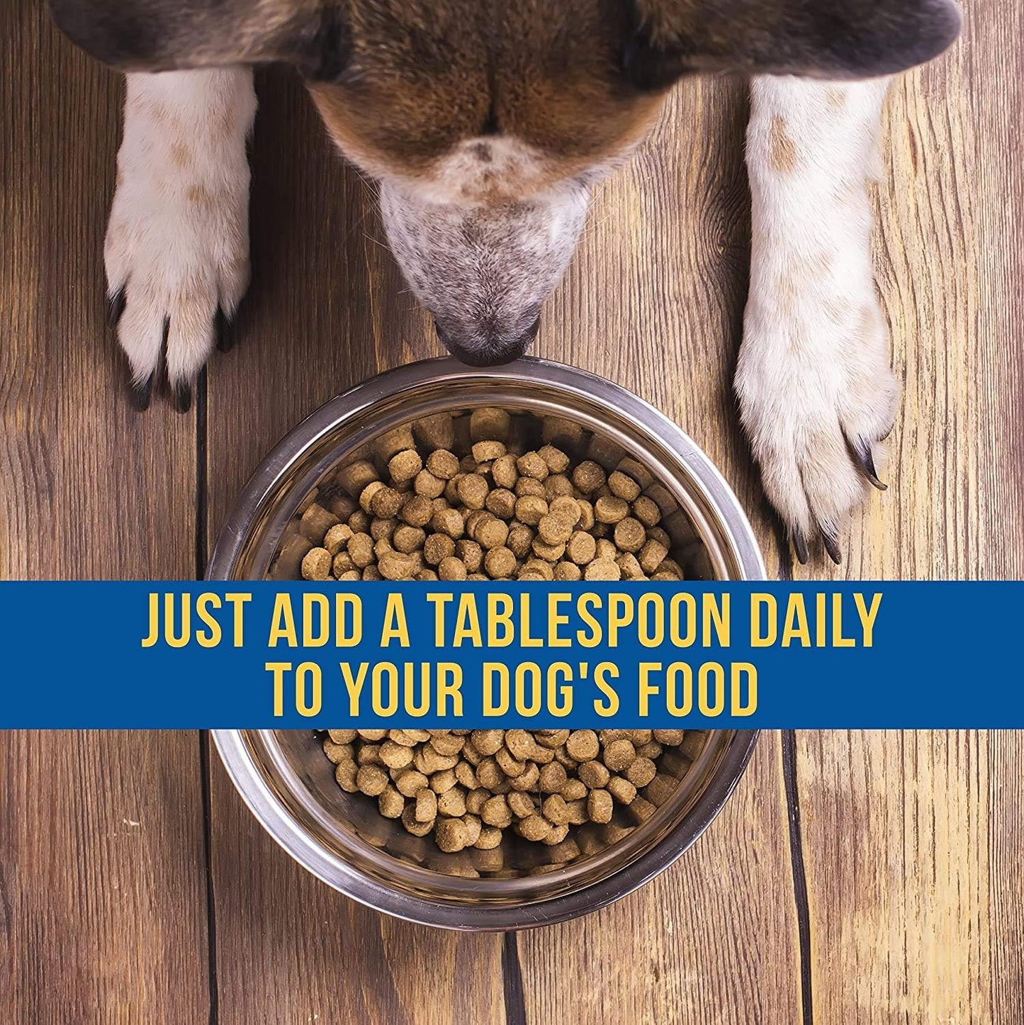 16oz SynergyLabs Shed-X Liquid Dog Supplement - Natural Fish Oil for Dogs - Reduces Excessive Shedding - Essential Fatty Acids, Vitamins & Minerals