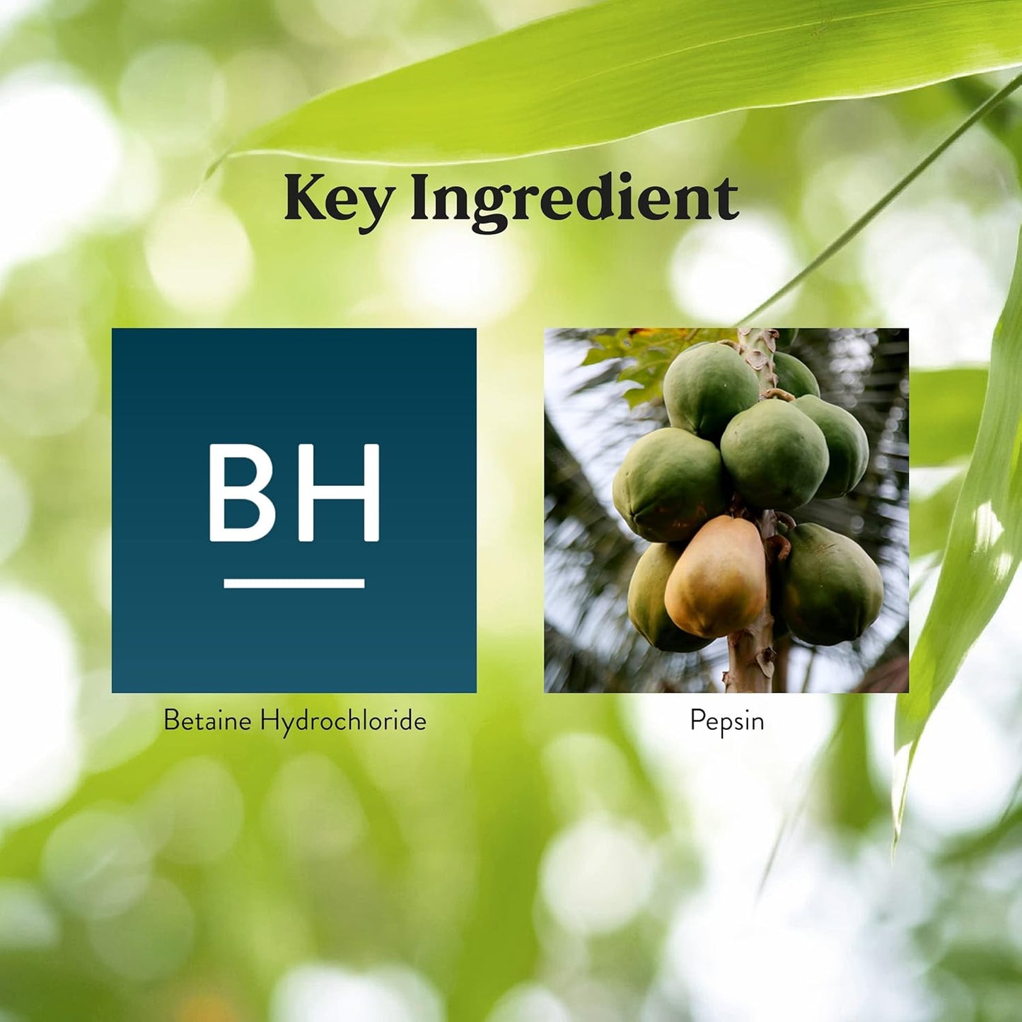 180 Capsules of Nature's Sunshine PDA Combination - Supports Protein Digestion in the Digestive Tract with Hydrochloric Acid and Pepsin