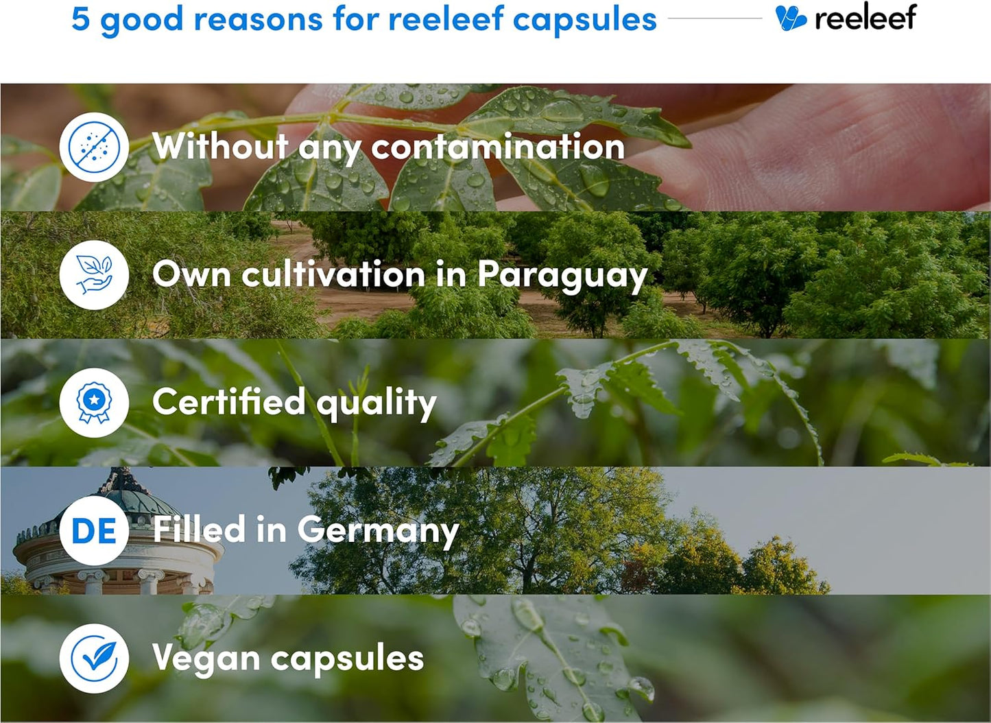 180 Count 330mg Pure Neem Leaf Capsules - Certified Organic Neem Powder - Vegan - No Additives