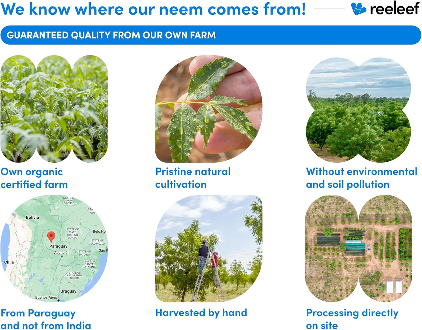 180 Count 330mg Pure Neem Leaf Capsules - Certified Organic Neem Powder - Vegan - No Additives