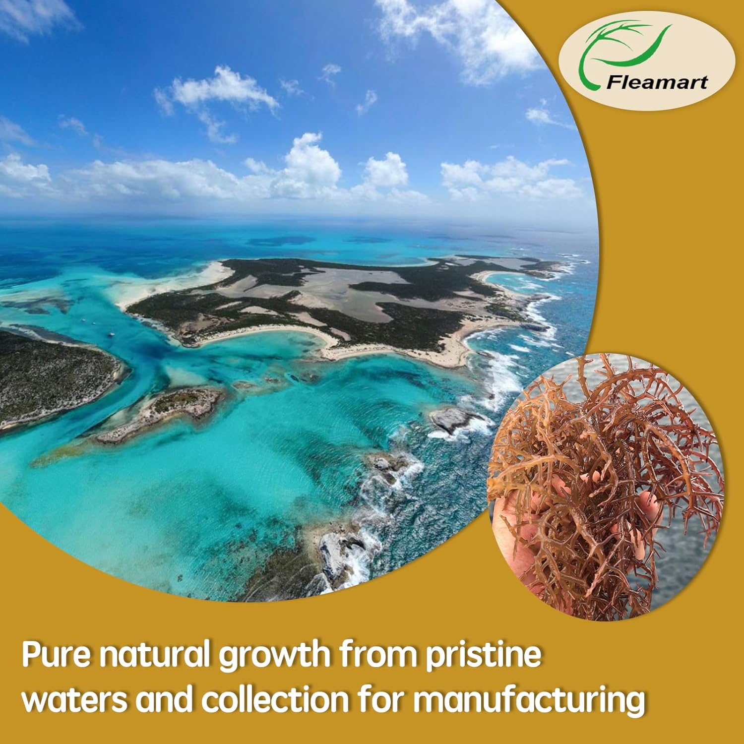 18.5OZ Fleamart Irish Sea Moss Gel: Organic Raw Seamoss Gel with 92 Minerals for Digestion & Thyroid Support