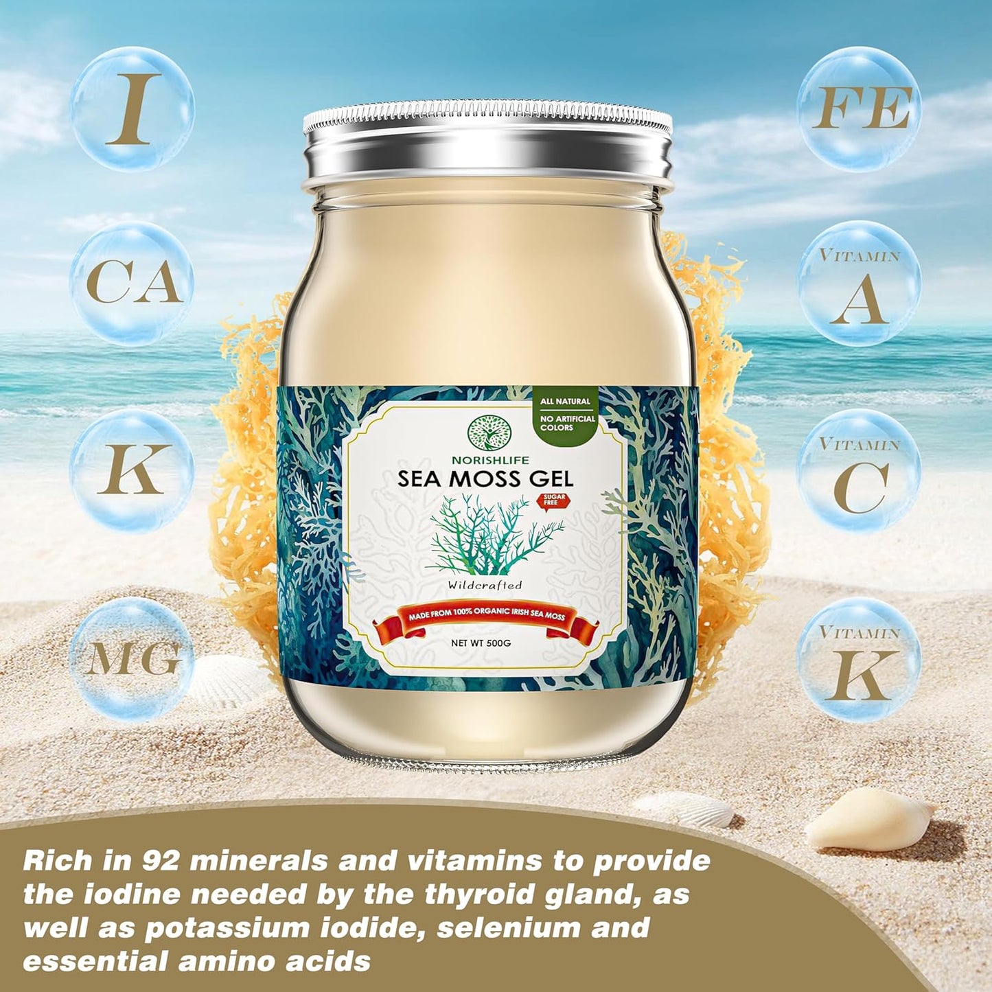 18OZ NourishLife Wildcrafted Irish Sea Moss Gel with 102 Minerals, Proteins & Vitamins - Raw Seamoss Gel Nutritional Supplement