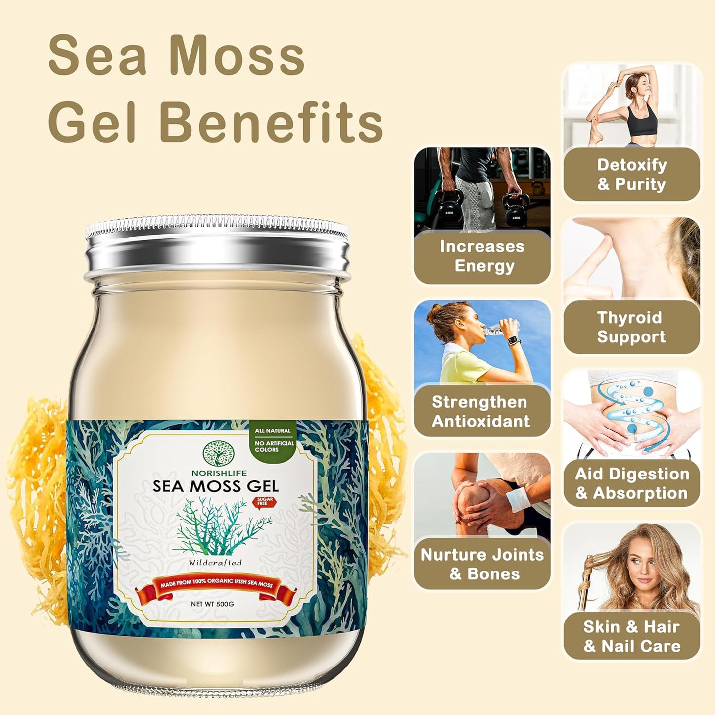 18OZ NourishLife Wildcrafted Irish Sea Moss Gel with 102 Minerals, Proteins & Vitamins - Raw Seamoss Gel Nutritional Supplement
