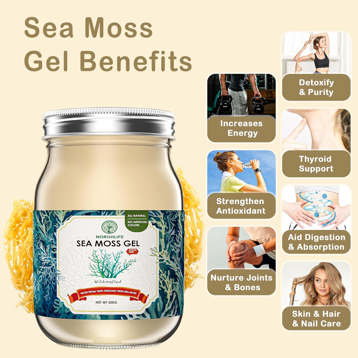 18OZ NourishLife Wildcrafted Irish Sea Moss Gel with 102 Minerals, Proteins & Vitamins - Raw Seamoss Gel Nutritional Supplement
