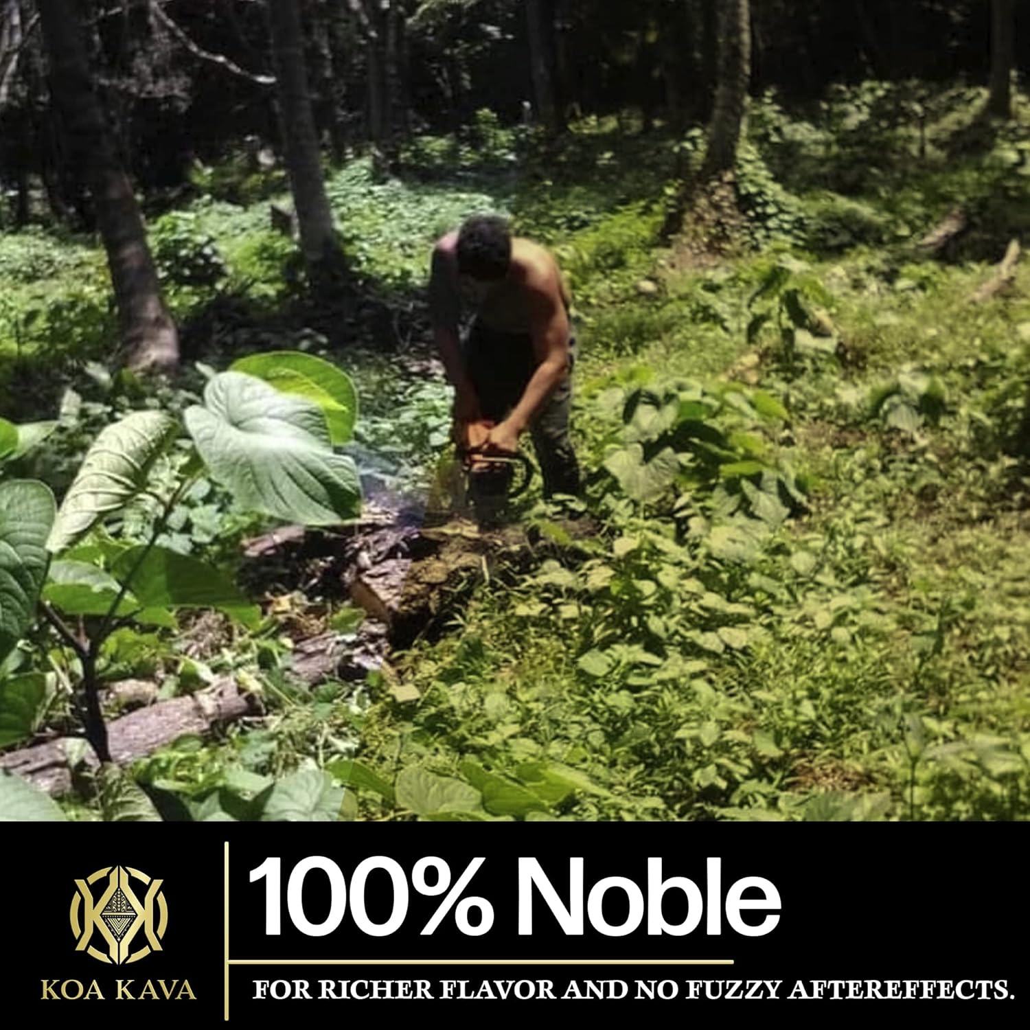 1kg Premium Kava Kava Powder Tea - Noble Tongan Root for Relaxation, Pouni ONO Drink from Vava'U