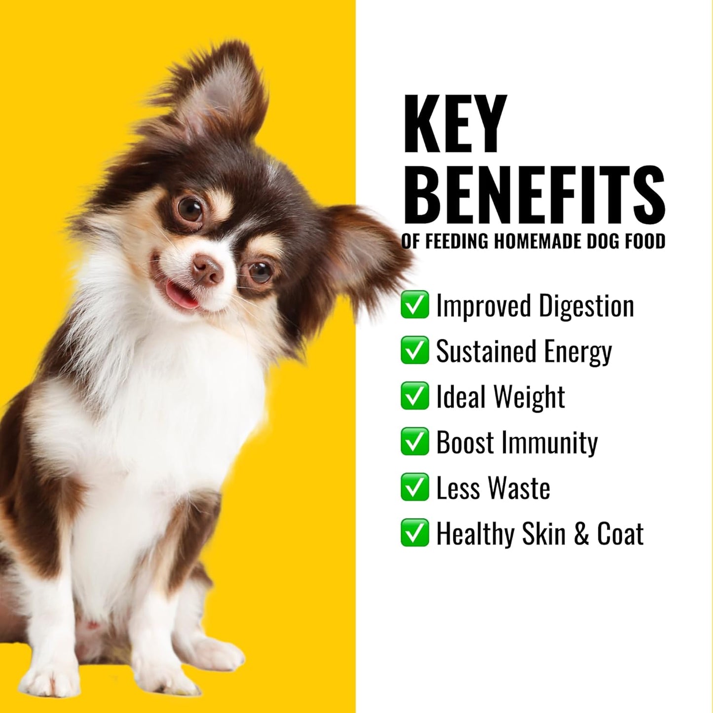 1lb Azestfor Veggie Flavor Dog Vitamins & Minerals Powder Supplement for Raw & Homemade Food