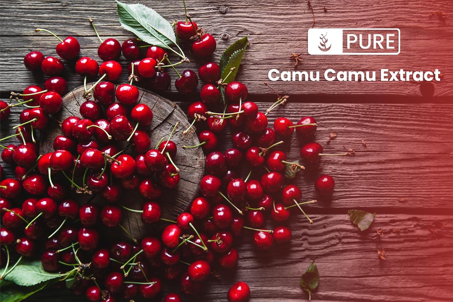 1lb Camu Camu Powder - Pure Brazilian Superfood with Lab-Verified Vitamin C, Non-GMO