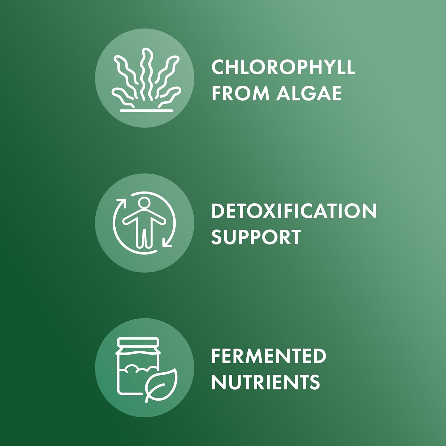 2 Bottles of Dr. Mercola Fermented Chlorella with Chlorophyll, 450 Tablets, Dietary Supplement for Immune and Organ Health, Non GMO, NSF Certified