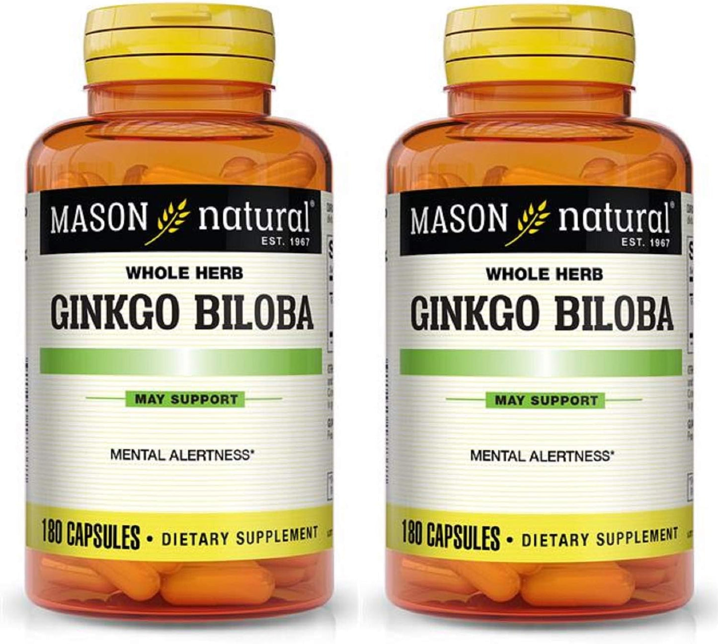 2 Bottles of MASON NATURAL Ginkgo Biloba 500mg, Total 360 Capsules