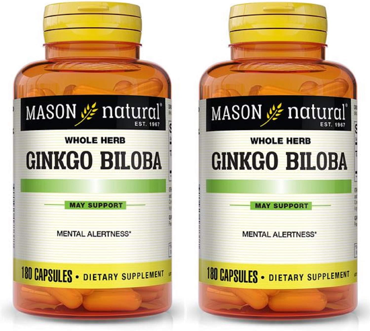 2 Bottles of MASON NATURAL Ginkgo Biloba 500mg, Total 360 Capsules