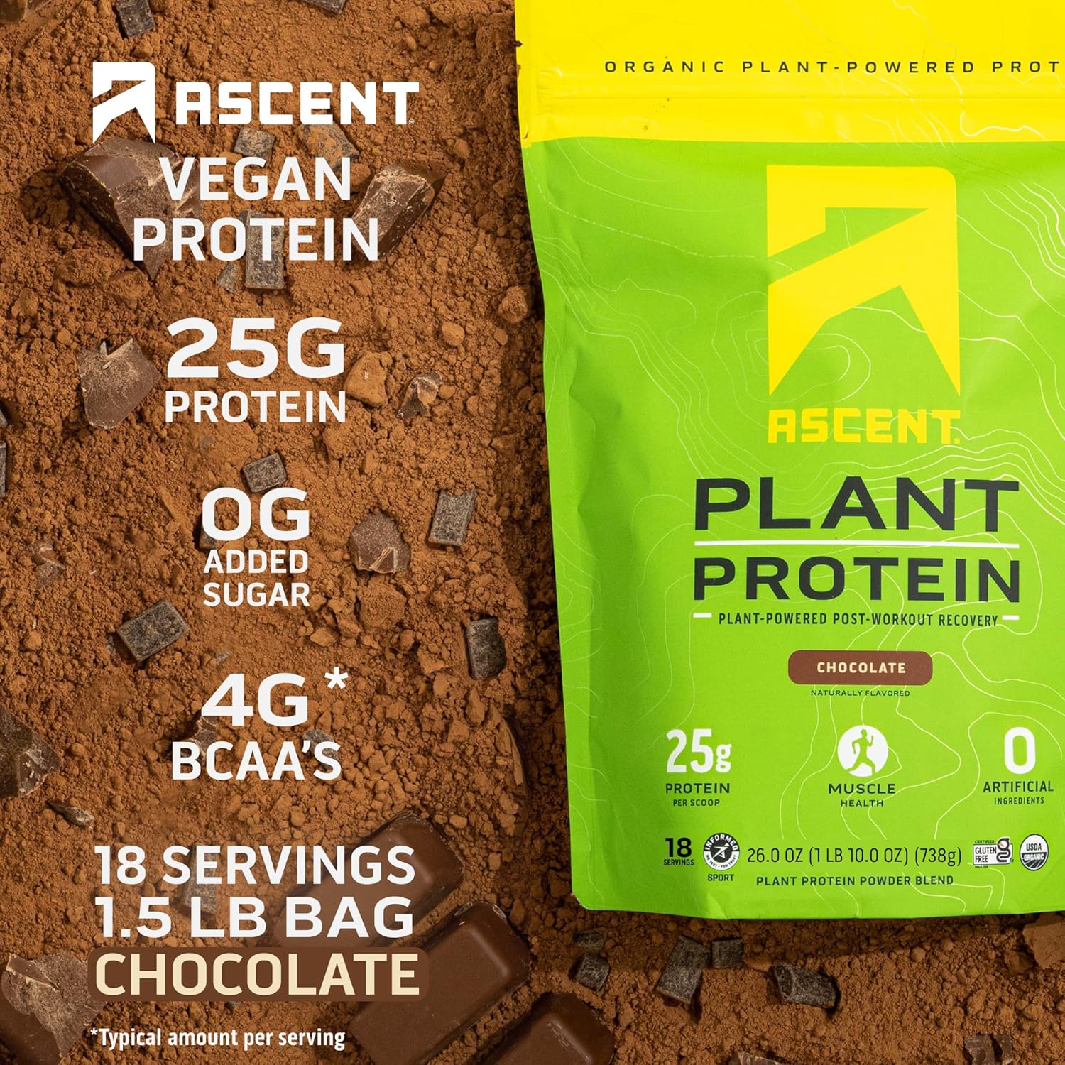 2 lb Chocolate Peanut Butter & Chocolate Ascent Whey + Plant Protein Powder - 18 Servings
